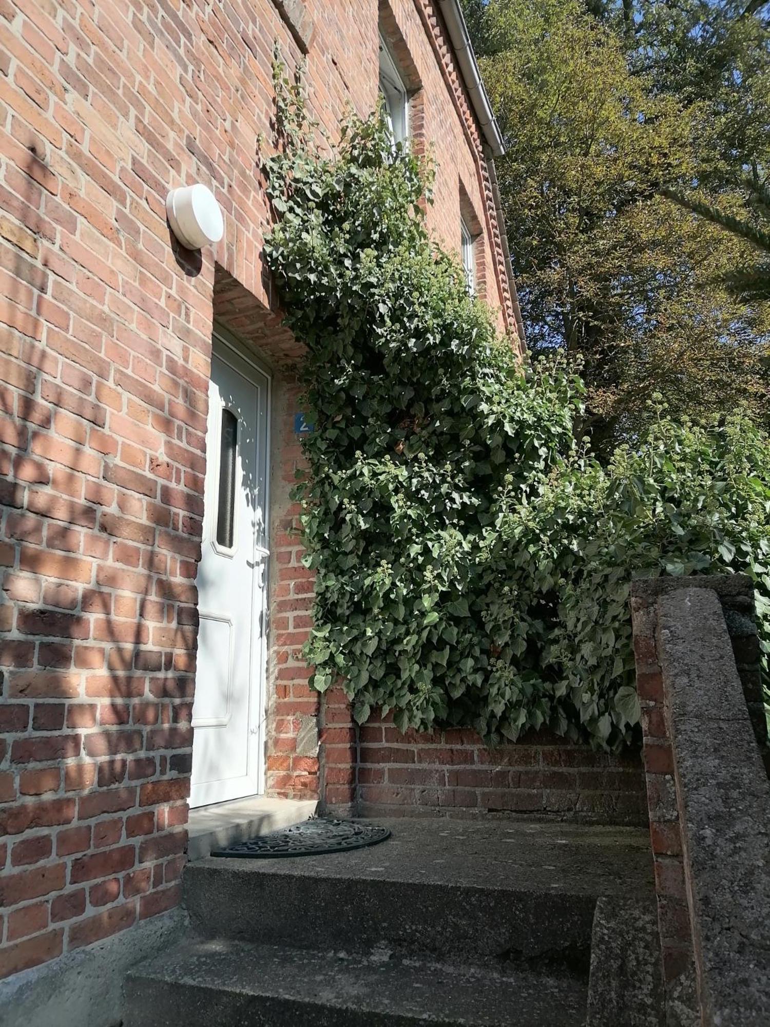 Gutshaus Daemelow Tussen Schwerin En Wismar Extérieur photo